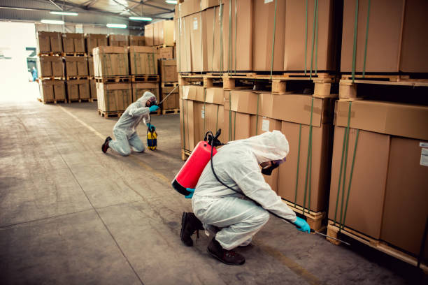 Best Bed Bug Extermination  in University Heights, IA