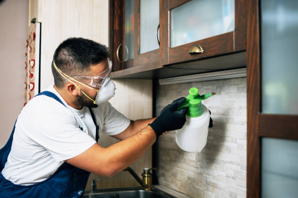 Best Cockroach Control Services  in University Heights, IA