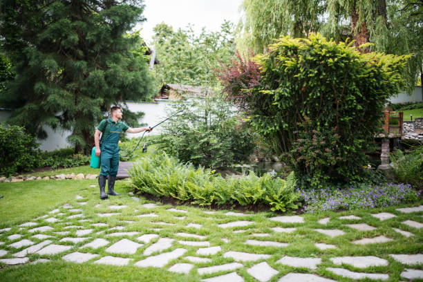 Best Affordable Pest Control Services  in University Heights, IA