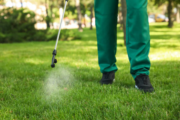 Best Residential Pest Control  in University Heights, IA