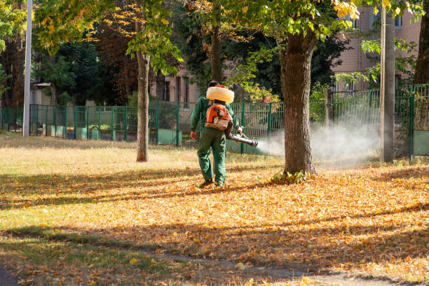 Pest Control for Restaurants in University Heights, IA