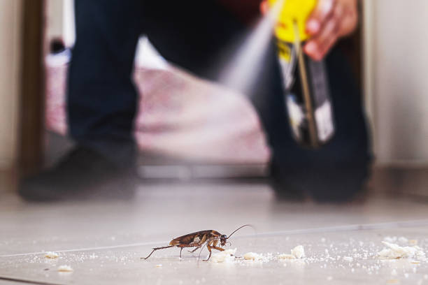 Best Commercial Pest Control Services  in University Heights, IA